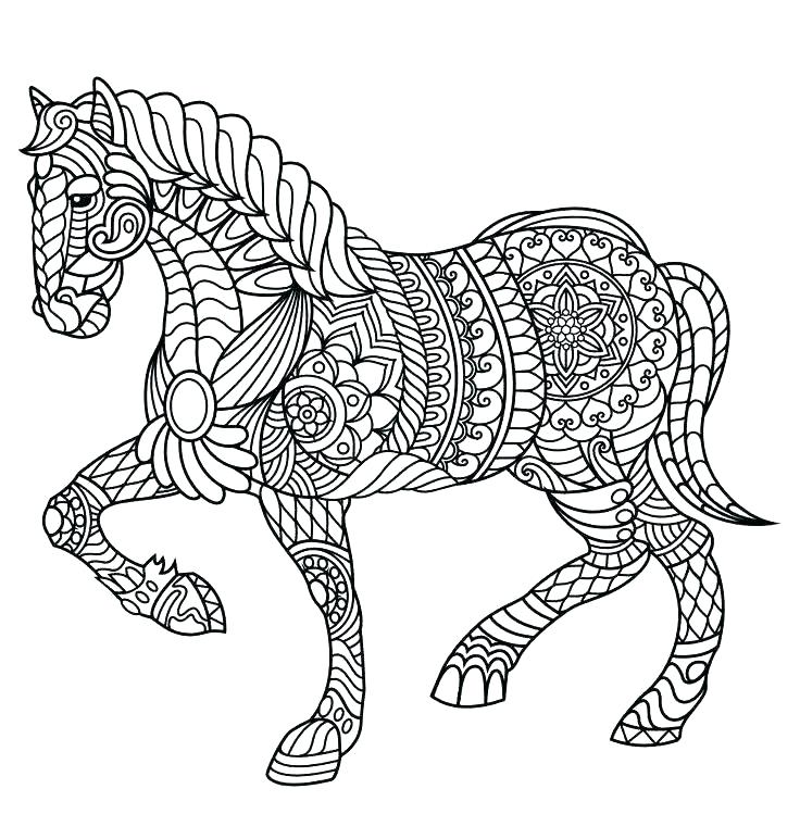 736x772 Horse Coloring Pages For Adults