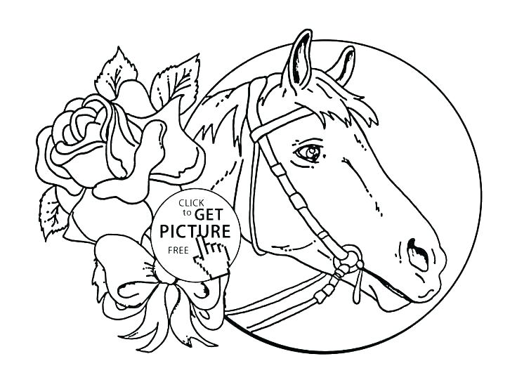 736x551 Horse Coloring Pages For Kids