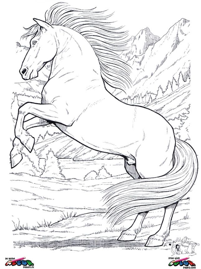 Coloring Pages Of Horses Rearing
