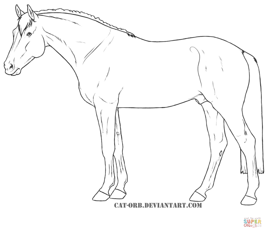 872x762 Coloring Pages Of Horses