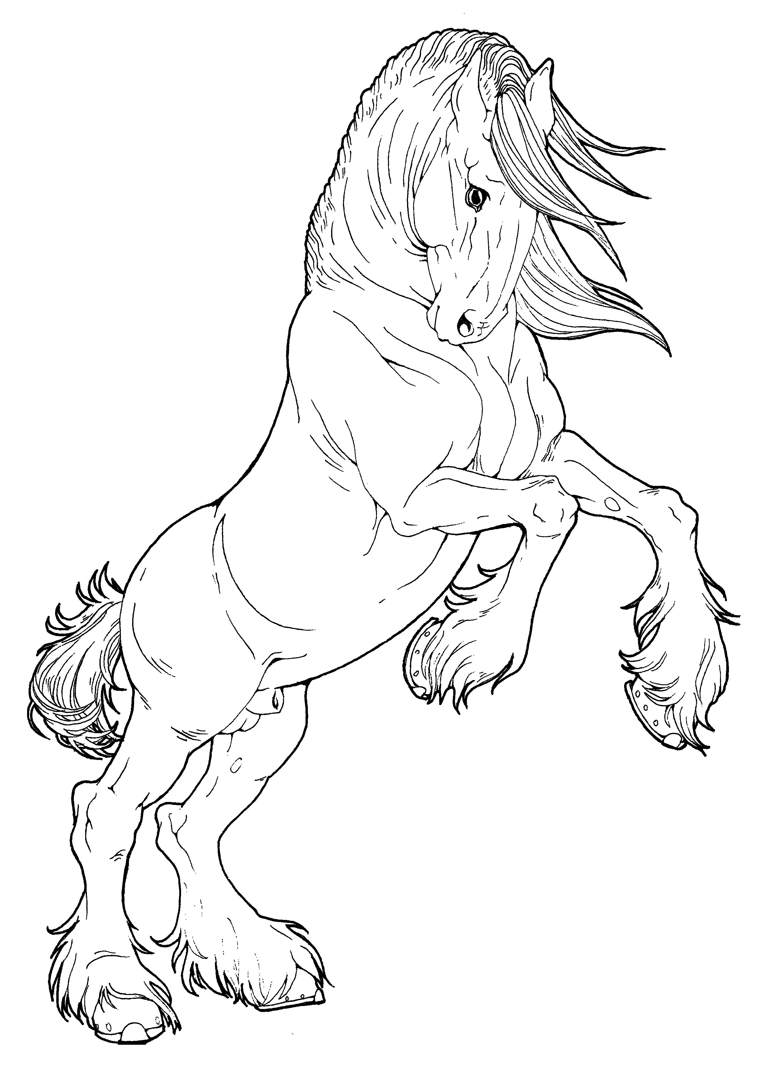 2549x3622 Coloring Pages Of Horses Rearing