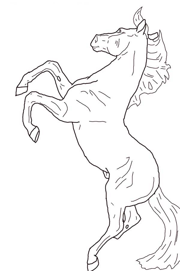 600x900 Horse Rearing In Horses Coloring Page
