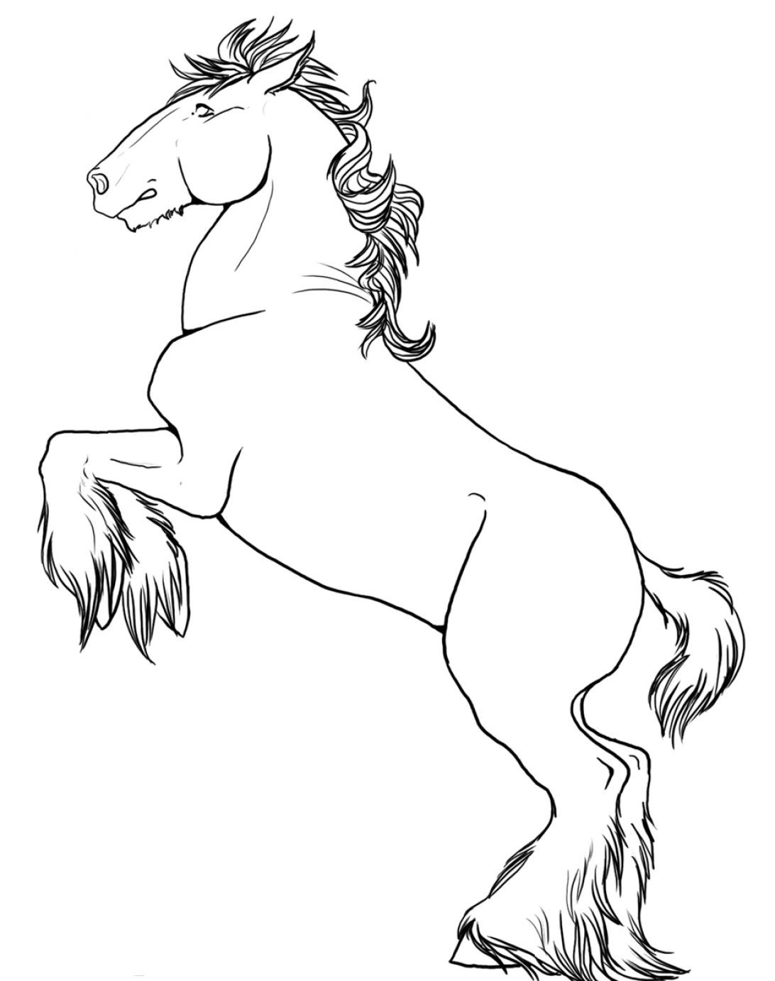 1092x1382 How To Draw A Horse Rearing Pictures Free Coloring Pages Brilliant