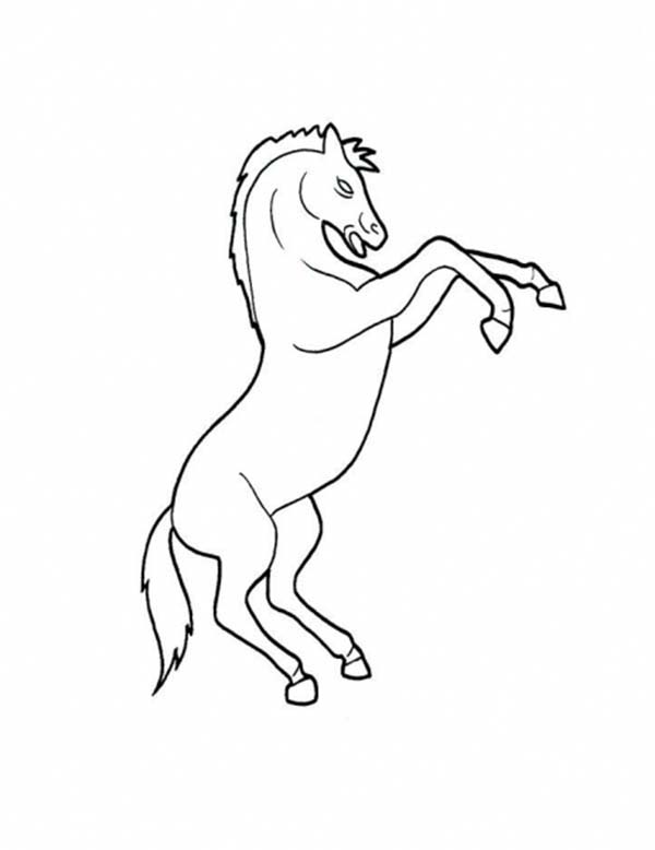 600x778 Picture Of Horse Rearing In Horses Coloring Page