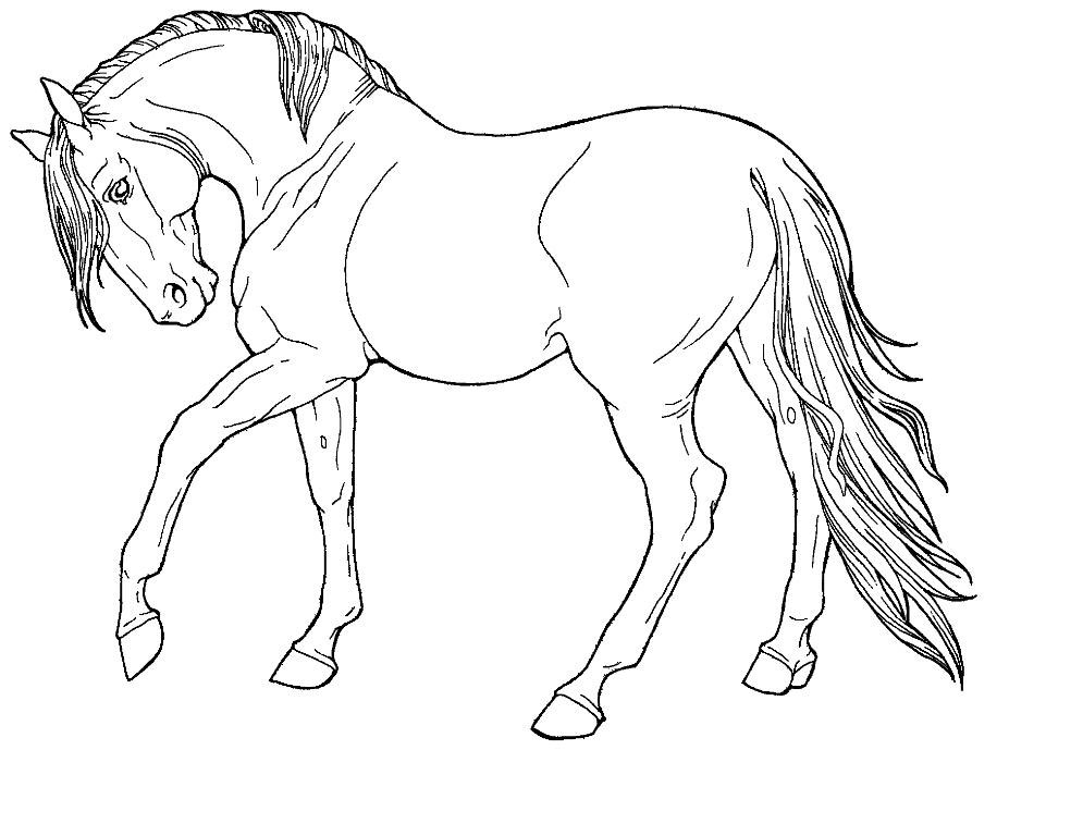 995x768 Rearing Horse Coloring Pages Free Horse Coloring Pages