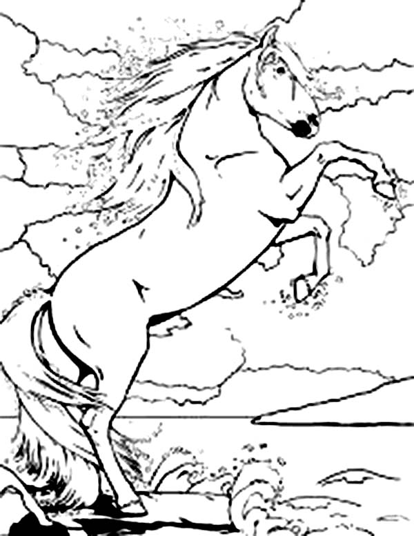 600x777 Bella The Magical Horse Rearing Coloring Pages Batch Coloring