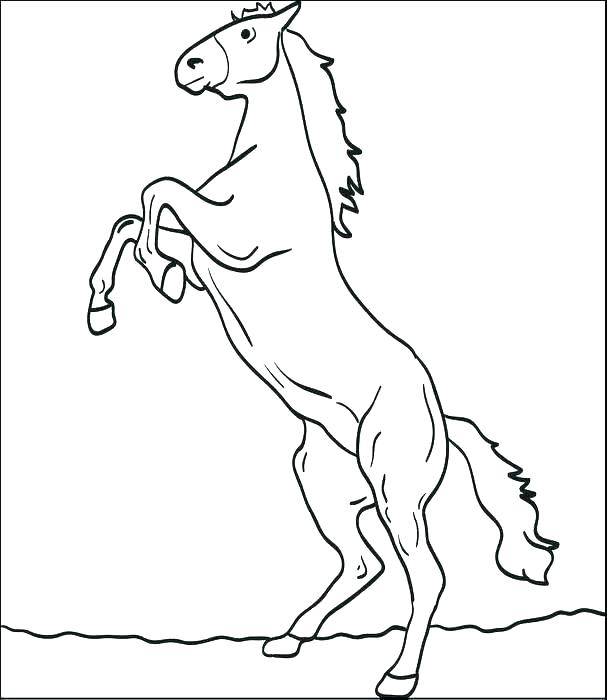 607x700 Coloring Pages Horses Horses Rearing Coloring Pages Printable