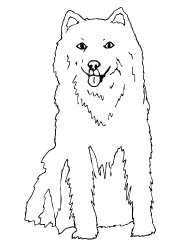 360x480 Amusing Husky Puppy Coloring Pages Husky Puppy Coloring Pages Page