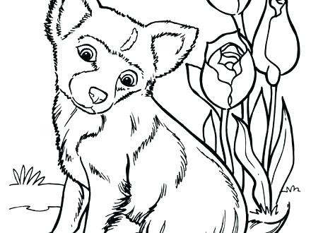 440x330 Husky Puppy Coloring Pages Husky Coloring Page Husky Family