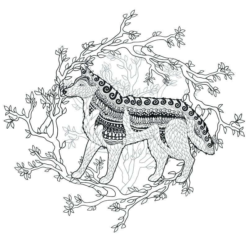 800x800 Husky Puppy Coloring Pages Husky Coloring Pages Husky With High