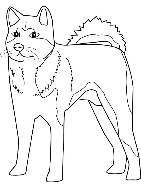 540x720 Realistic Puppy Coloring Pages