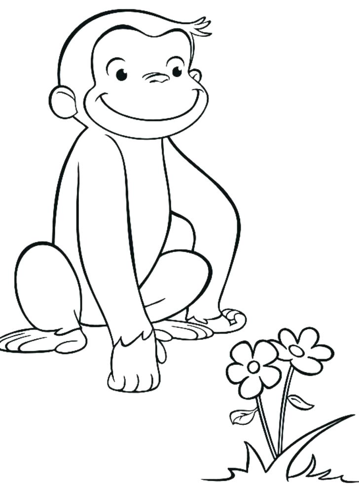 728x1006 Astounding Michigan Coloring Pages State Flower Coloring Page Free