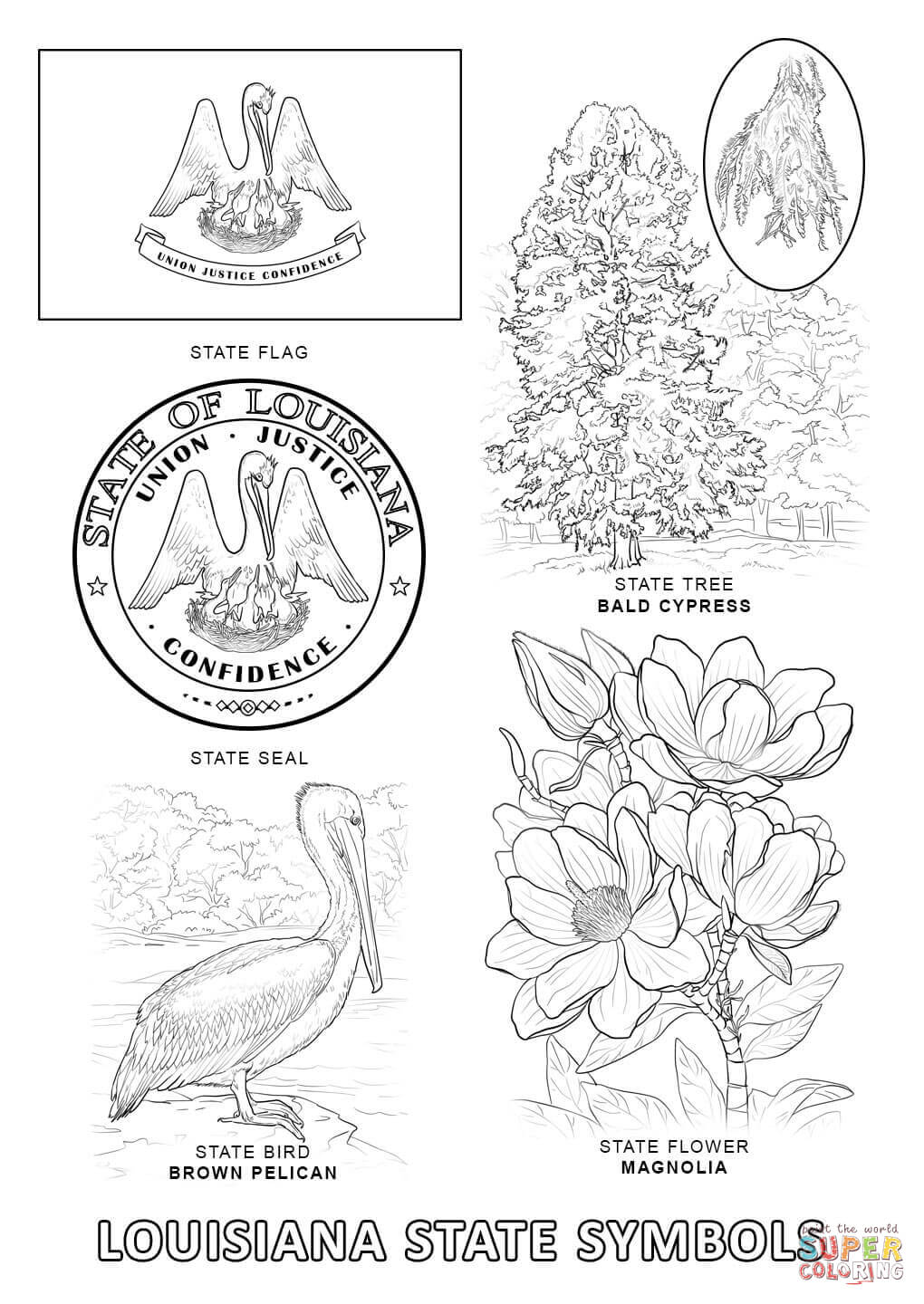 1020x1440 Focus Delaware State Seal Coloring Page Michigan Image Clipart
