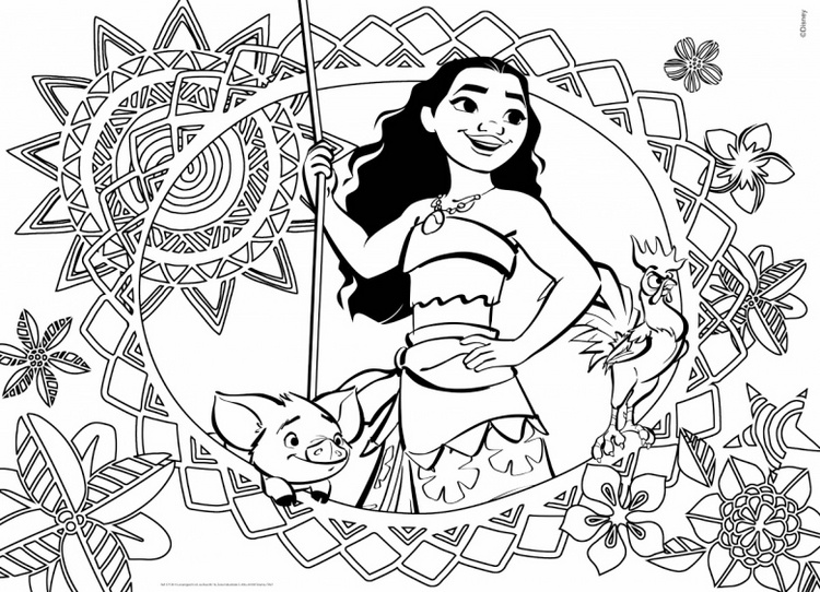 750x542 Moana Cover Coloring Book