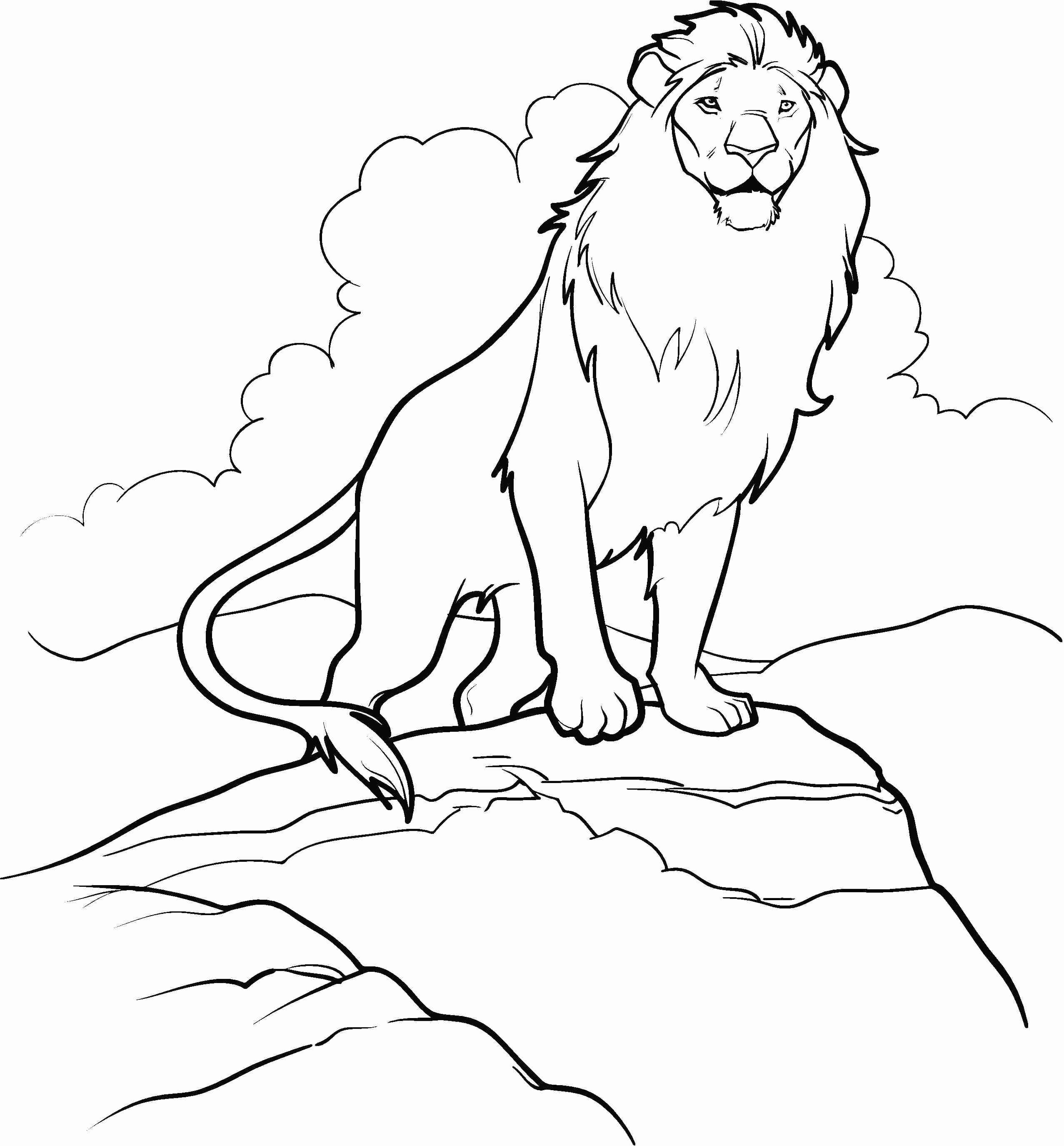 2554x2750 Narnia Coloring Pages To Print Colouring For Kids And Girls
