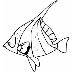 300x300 Ocean Fish Coloring Pages