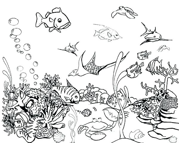 600x480 Ocean Fish Coloring Pages Ocean Fish Coloring Pages Free Creation