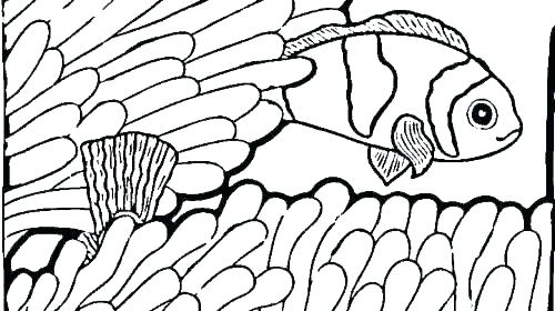 500x280 Ocean Fish Coloring Pages Ocean Fish Coloring Pages Printable Fish