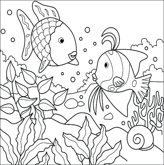 567x572 Ocean Fish Coloring Pages Superb Free Ocean Coloring Pages