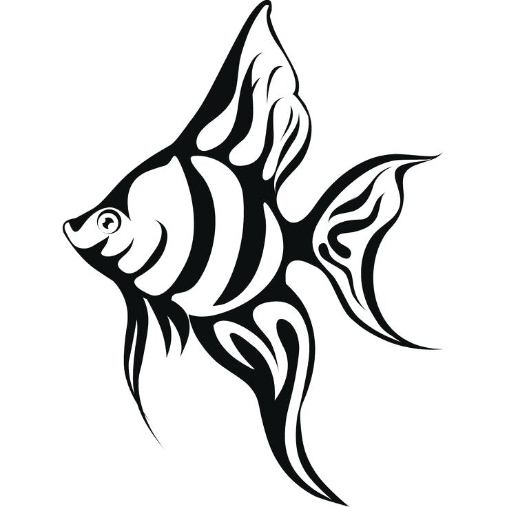 736x736 Realistic Fish Coloring Pages Drawn Gold Fish Tropical Fish