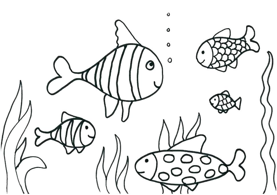 970x685 Tropical Fish Coloring Pages Coloring Pages Of Fish Ocean Fish