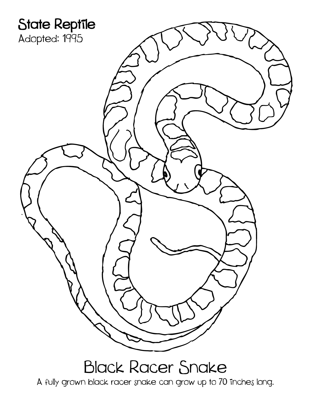 1275x1650 Ohio State Buckeyes Coloring Pages Cded On Michigan State Flower