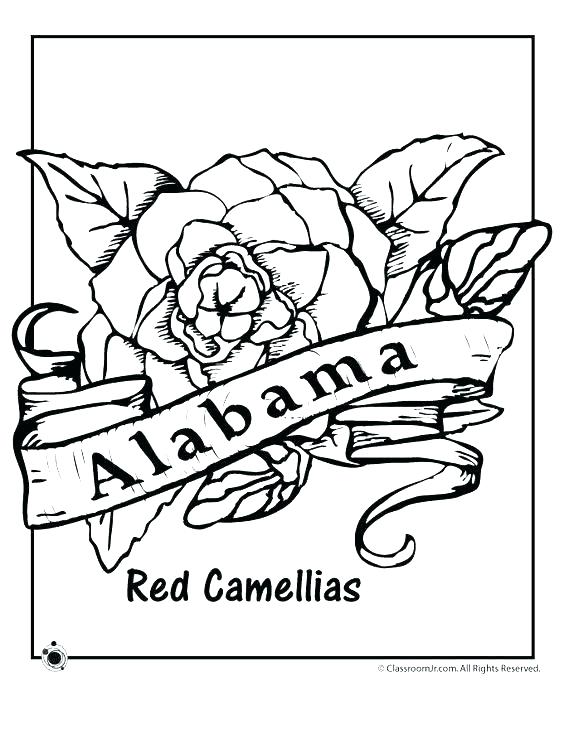 564x729 Coloring Pages Ohio State State Tree Coloring Page Coloring Pages