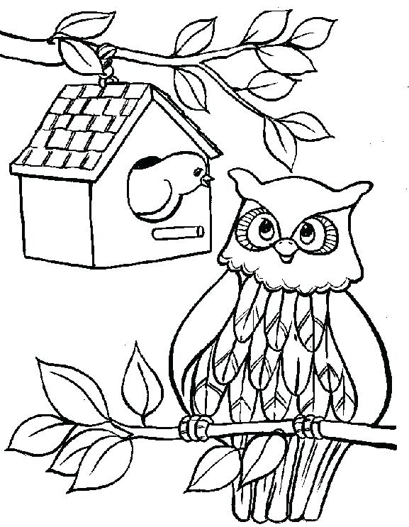 577x743 Owl Color Page Owl Color Page Great Coloring Pages Owls Gallery