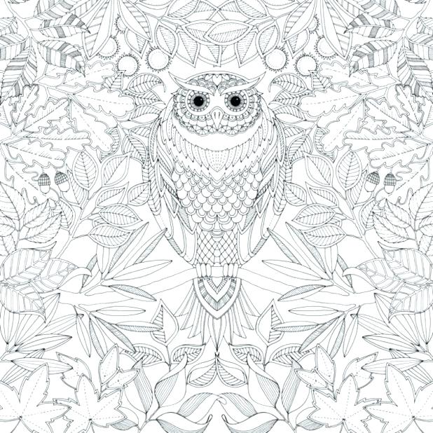 618x618 Owl Coloring Page Owl Mandala Coloring Page Coloring Page Of Owl