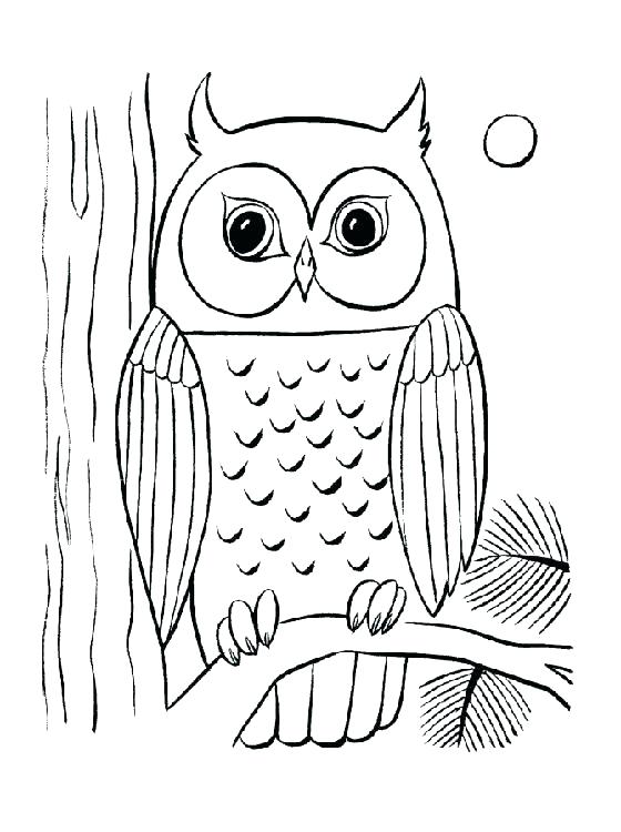 560x750 Printable Owl Coloring Pages Together With Barn Owl Coloring Page