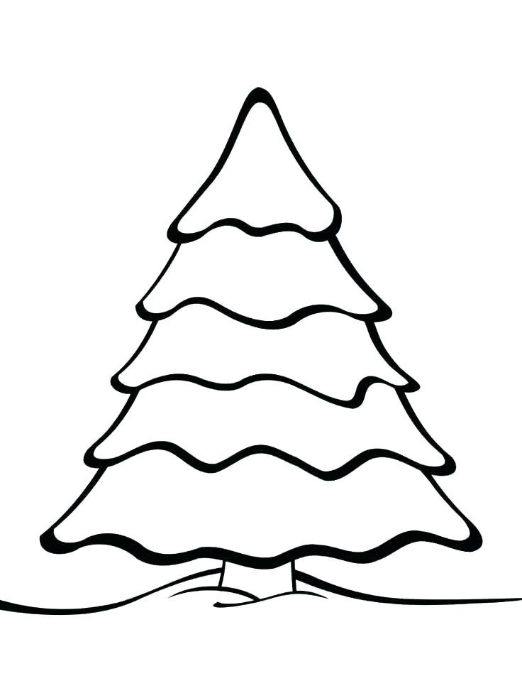 736x952 Pine Tree Coloring Pages Free Printable Tree Coloring Pages