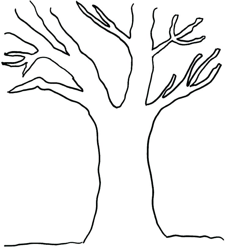736x807 Trees Coloring Pages Coloring Page Tree Pine Trees Coloring Pages