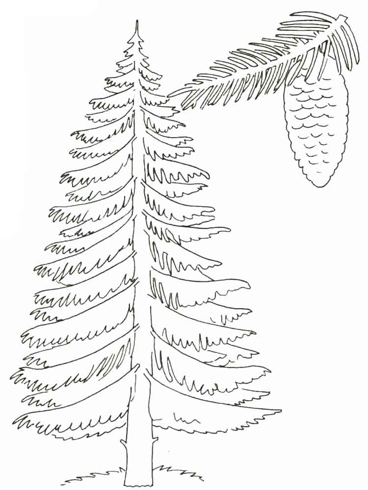 750x1000 Trees Coloring Pages Download And Print Trees Coloring Pages