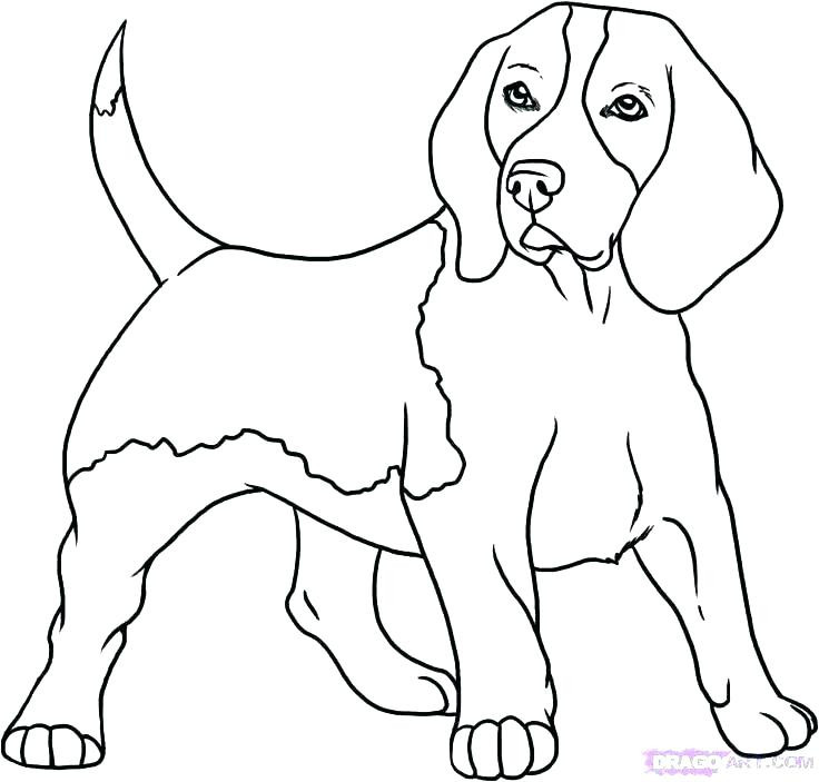 736x703 Realistic Coloring Pages Of Dogs Beautiful Dog Coloring Pages
