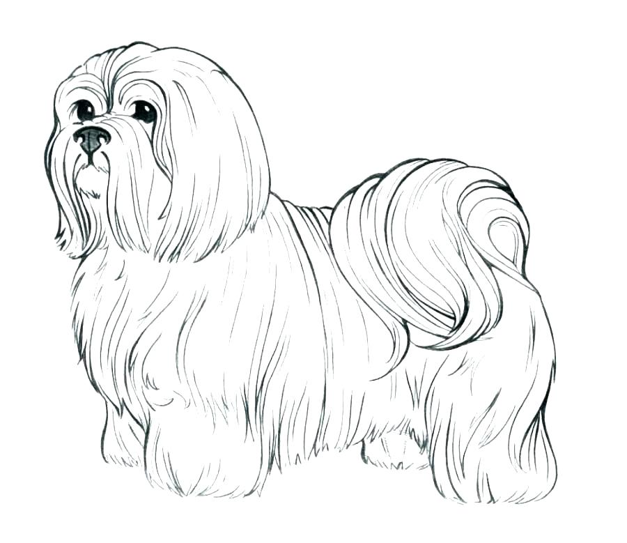 900x779 Realistic Coloring Pages Realistic Dog Coloring Pages Realistic