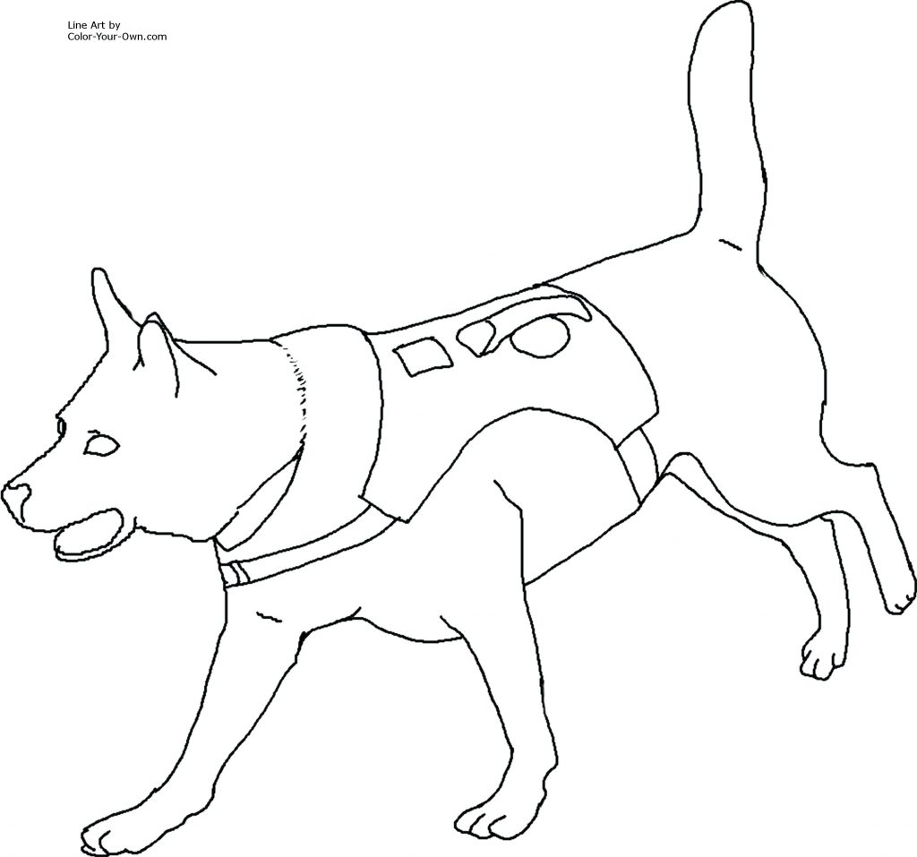 1024x957 Coloring Pages Husky Coloring Pages Realistic And Husky Coloring