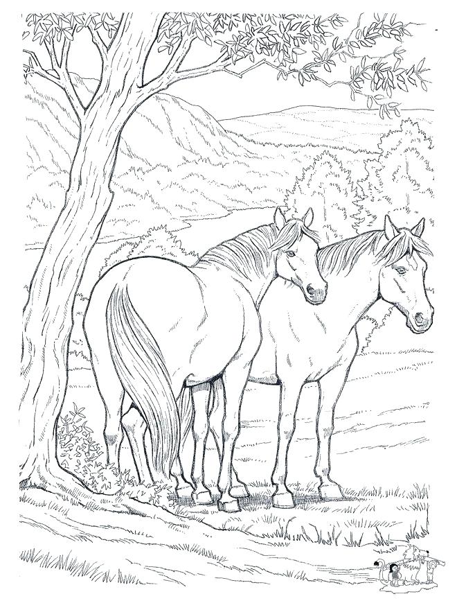 660x880 Horse Coloring Pages For Adults Also Horses Coloring Pages