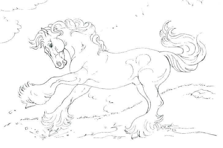 728x486 Realistic Horse Coloring Pages