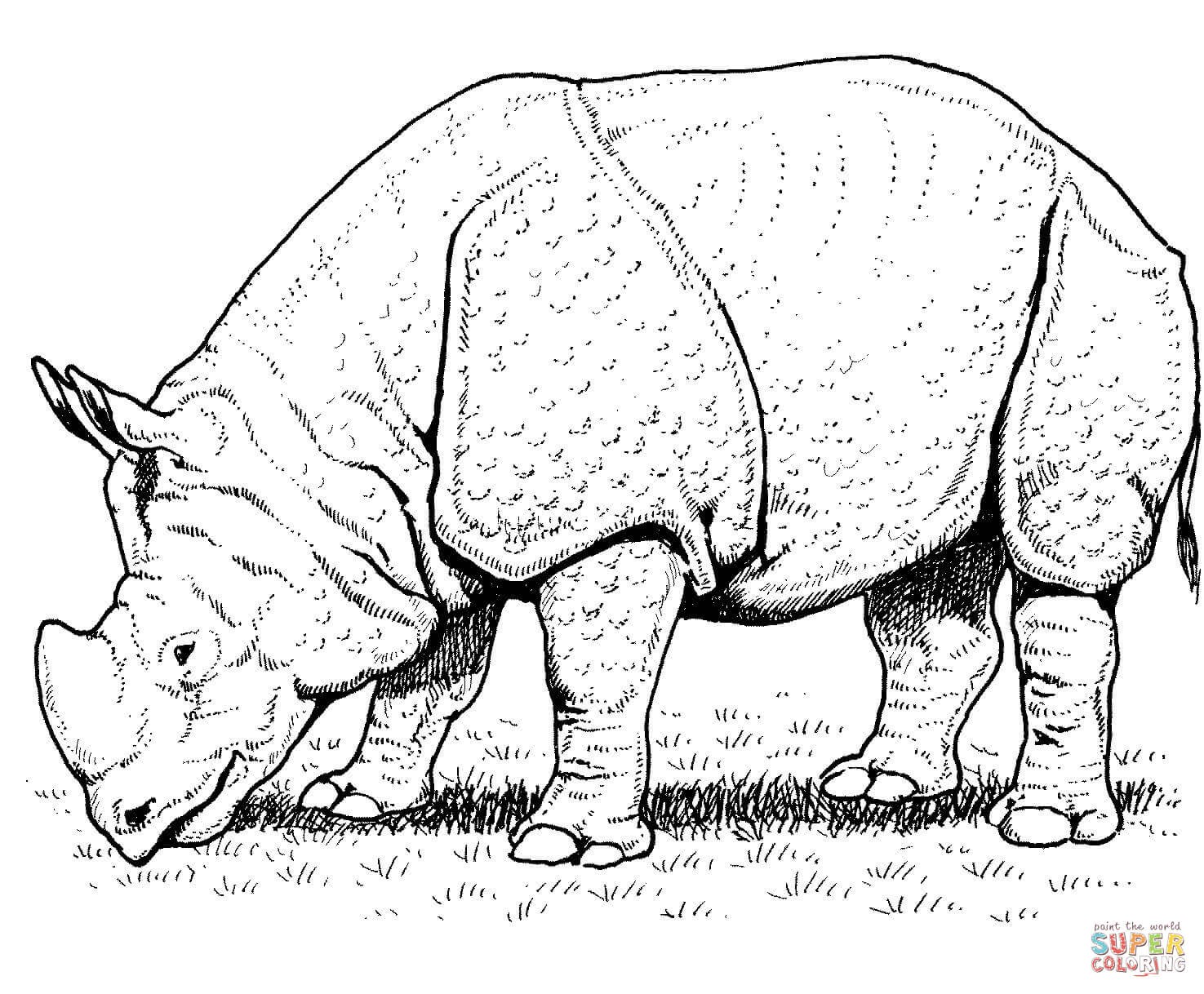 1475x1218 Realistic Rhino Coloring Pages Fresh Indian Rhino Coloring Page