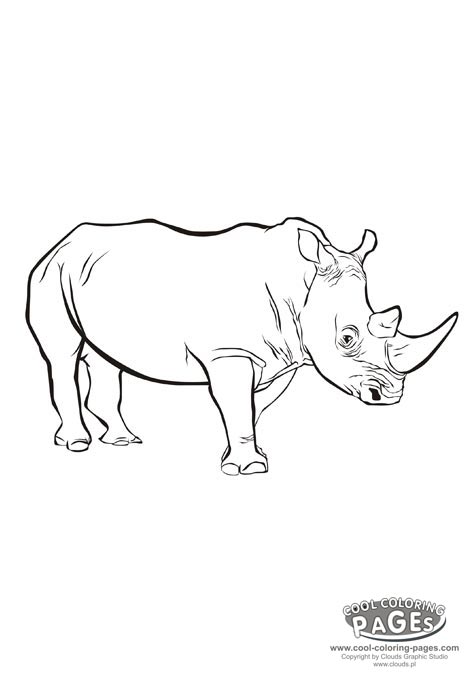 472x678 Rhino Rhinoceros