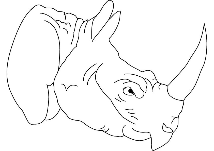 842x595 Rhino Coloring Book Pages