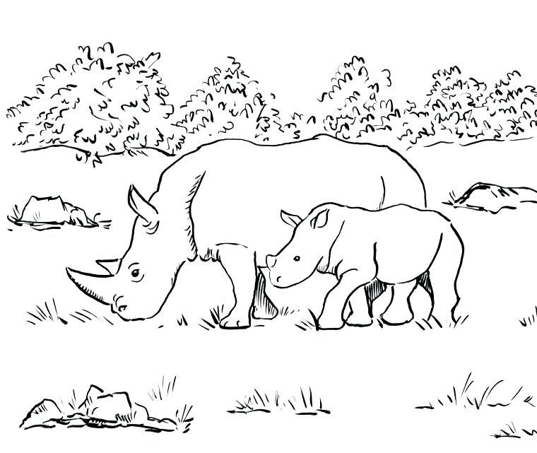 760x641 Rhino Coloring Page Rhino Coloring Page Baby Rhino Coloring Page