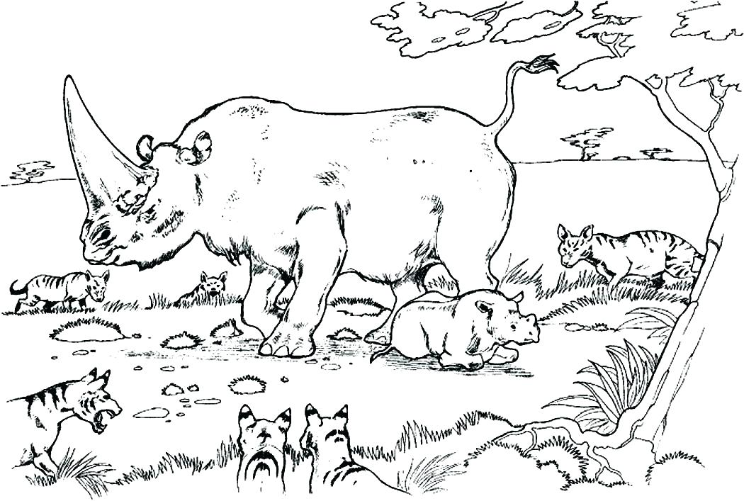 1050x707 Rhino Coloring Page Rhino Coloring Page Rhinoceros Coloring Pages