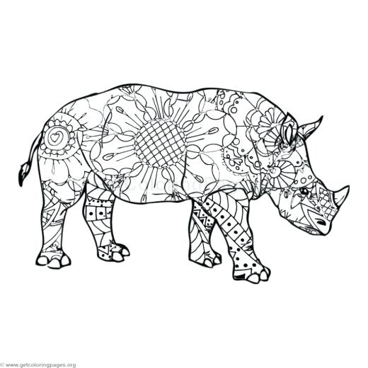 520x520 Rhino Coloring Page Rhino Coloring Pages Rhino Beetle Coloring