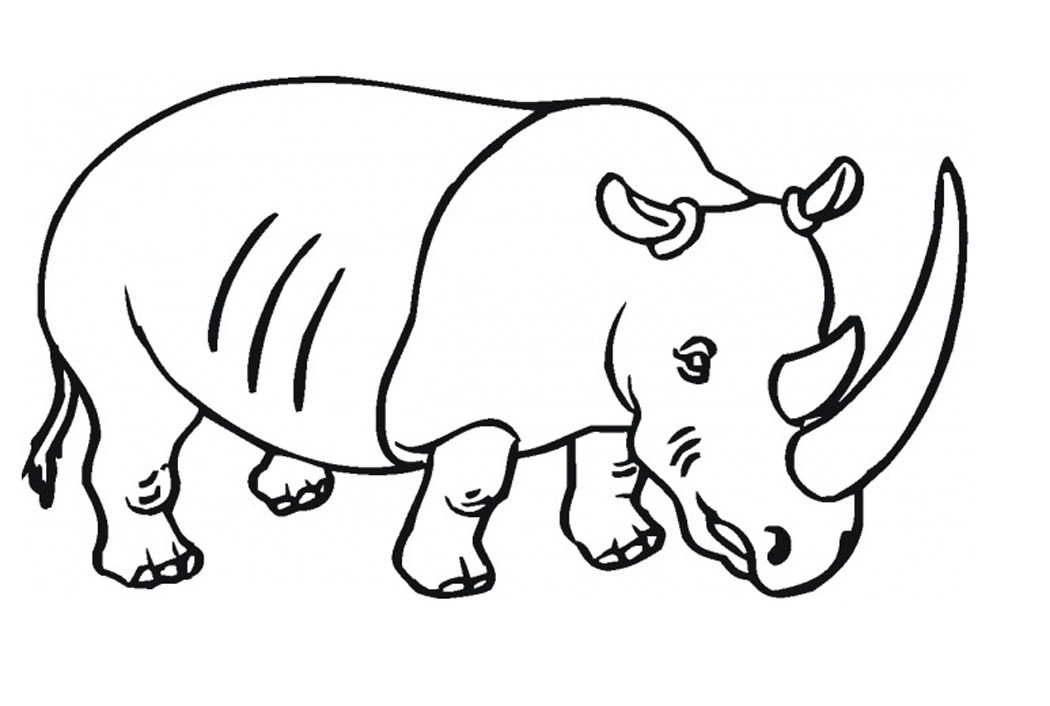 1050x706 Rhino Coloring Pages Printable Rhinoceros For Kids