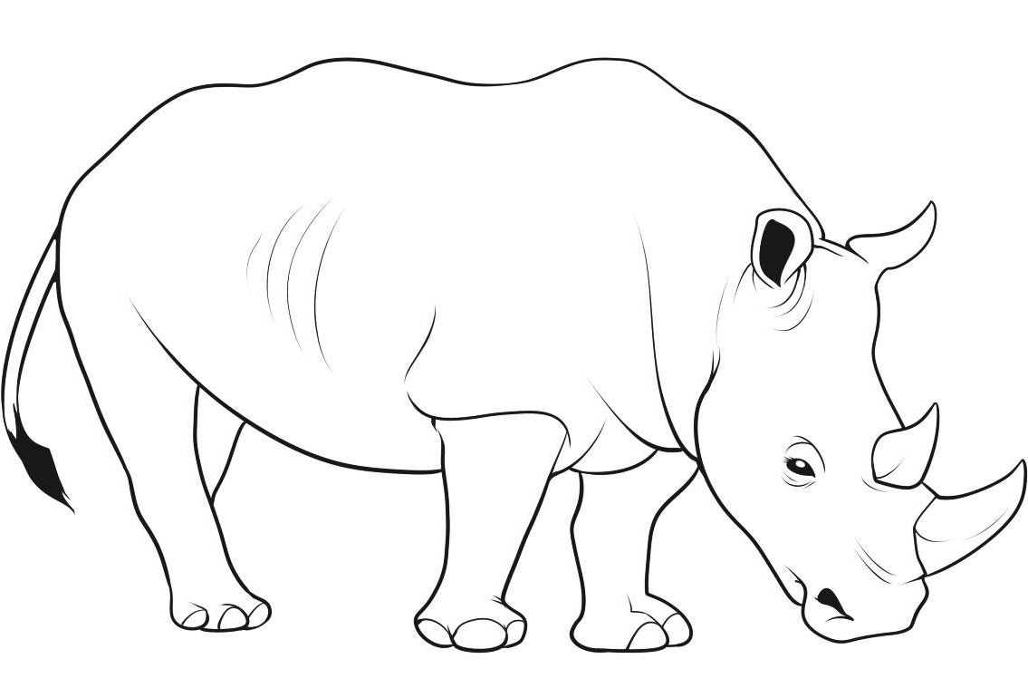 1135x759 Rhino Coloring Pages To Print These Rhinoceros