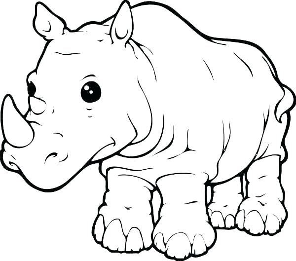600x529 Rhinoceros Coloring Page Rhino Coloring Pages Printable Colouring