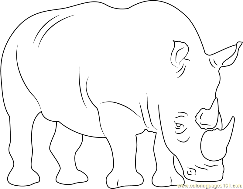 800x620 Two Horned Rhino Coloring Page