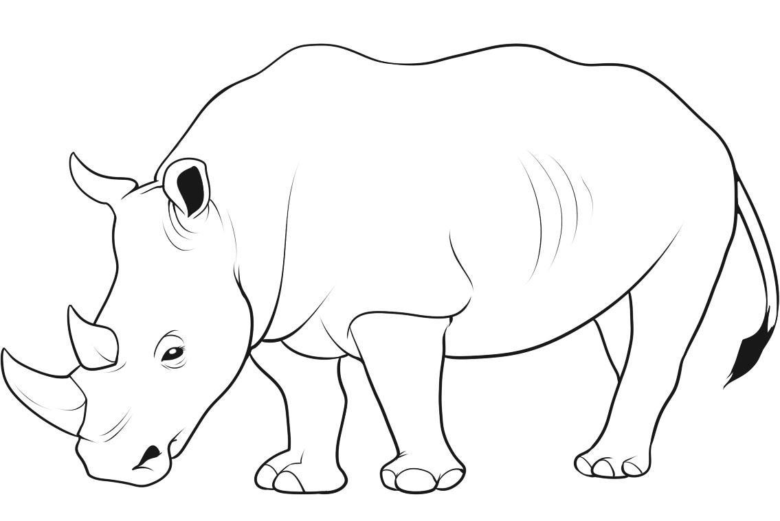 1135x759 Unique Rhinoceros Coloring Page Gallery Printable Coloring Sheet