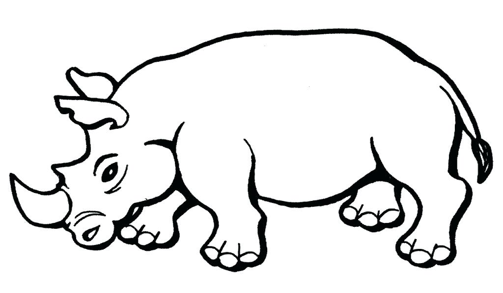 1024x598 Woolly Rhino Coloring Pages Rhino Coloring Page Rhino Coloring